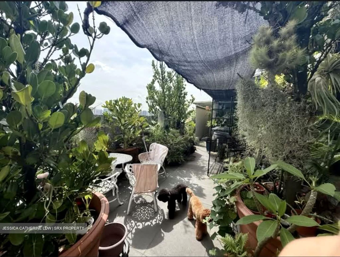 Nicole Green (D14), Apartment #626954771